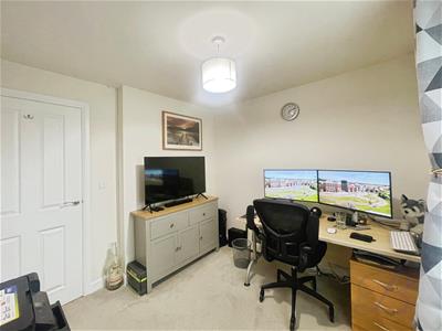 Picture 21